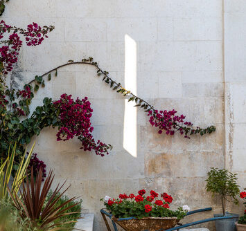 WineGarden 005